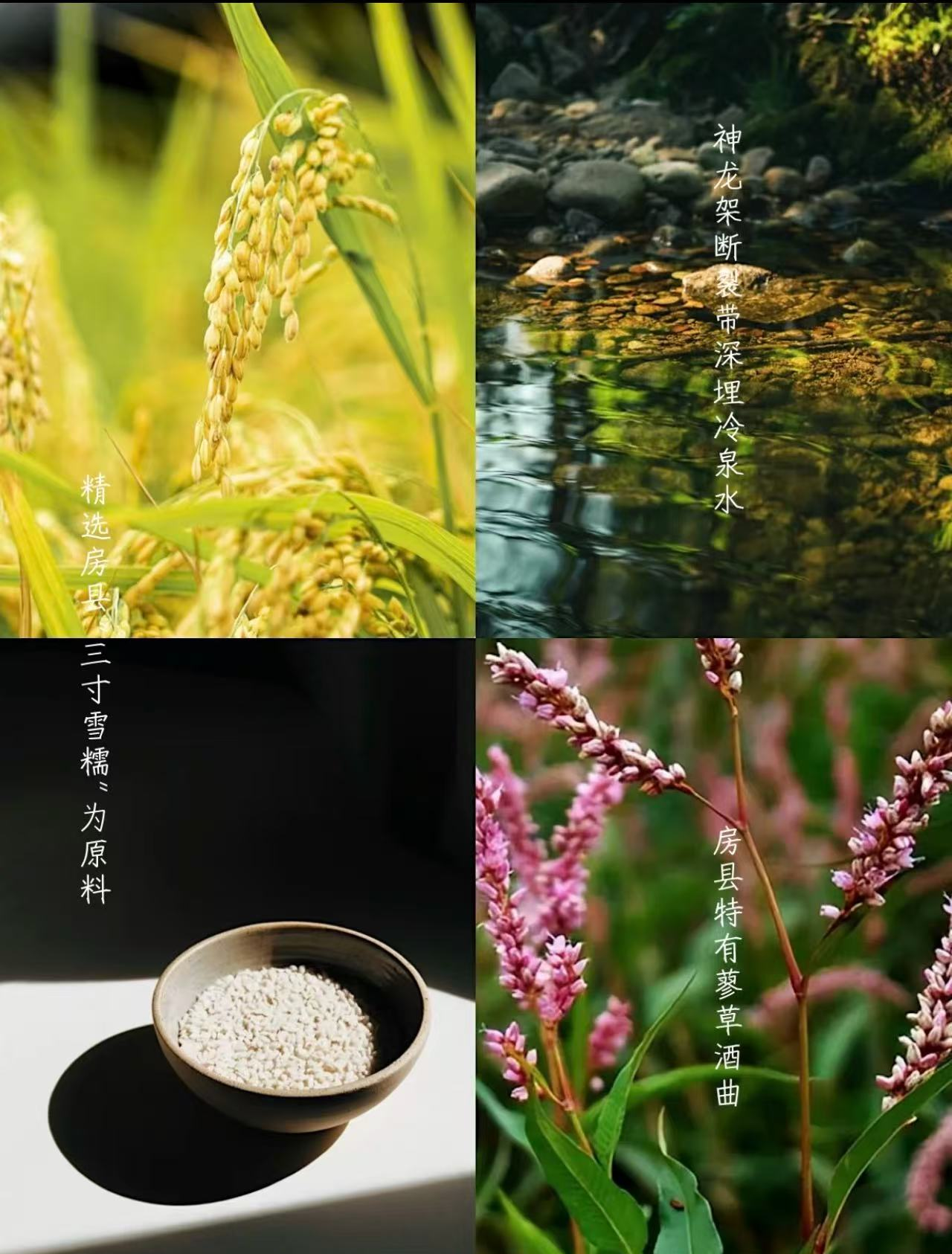 23e36b4c9e9f05ce22317269e0937c06.png