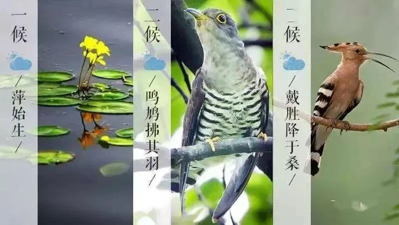 38b4b061469c4b75f2affb3c7ec14578.png