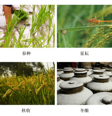 a3e08958d66f3975aacfe0384eea80bd.png