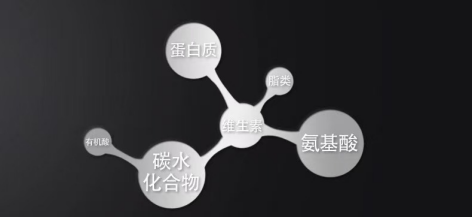 72c87d955fbe9a590e0210c428e85c60.png