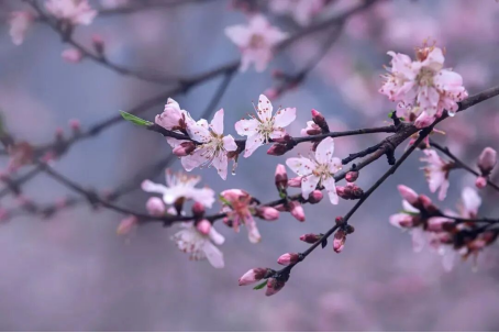 9a777f25c8a2ca7045a864de025d281a.png