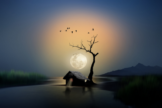 a1fb3f39689051b91eb1a90b89e5e9fa.png