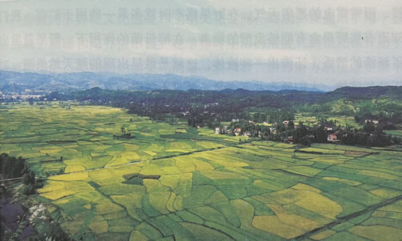 ccc08054b763b677f8c31b2b6aad6f5e.png