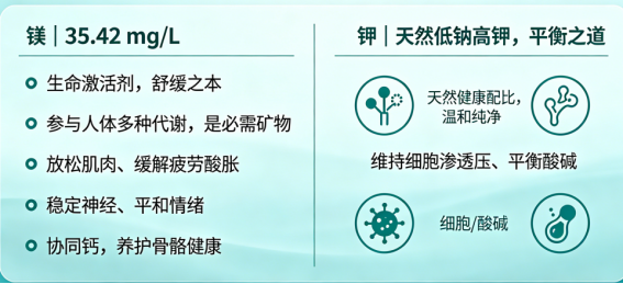 90f553b8ec56f0e9d1d2b301372154e6.png