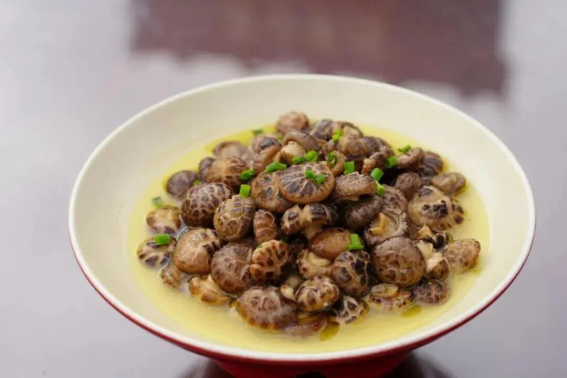 9d23f1c18c713a5b8eb85c7313d61088.png