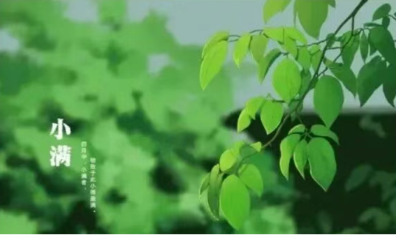 e295175ca7cc794b1838d0e715256f25.png