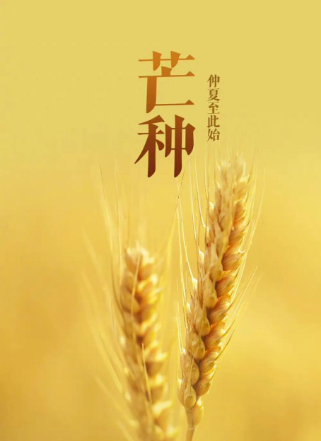 12dfa63b998101a9bf6f3165c3817d9d.png
