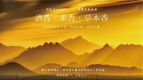 c3471d69d2f8a50cb768fd570f51e241.png