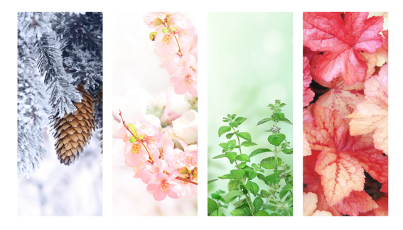 5b5b50cef442109100e1869f85c9cf16.png
